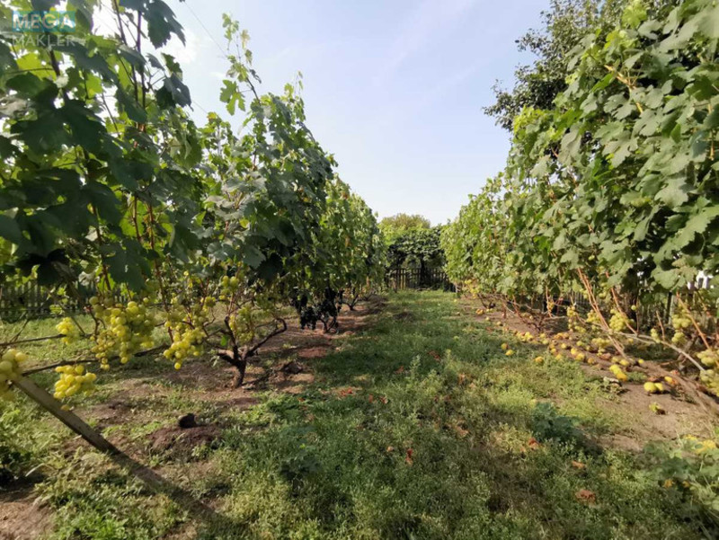 Продаж дома, 1 поверх, 78 кв.м, 3 кімнати, ділянка 25 соток, <a class="location-link" href="/grebenki/" title="Недвижимость Гребінки">Гребінки</a>, Дачна, 3 (изображение 11)