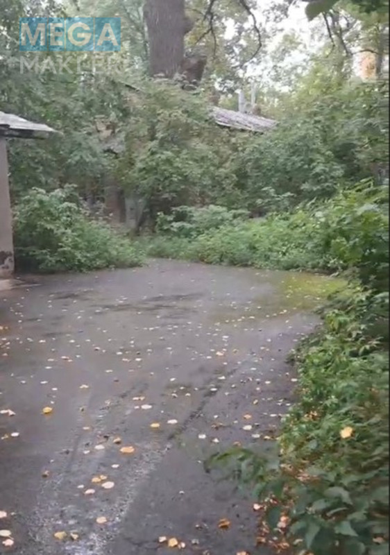 Продажа участка, 100 соток, форма прямоугольная, житлова забудова, <a class="location-link" href="/kiev/" title="Недвижимость Київ">Київ</a>, <a class="location-link" href="/kiev/shevchenkovskij/" title="Недвижимость Шевченківський район">Шевченківський р-н</a>, Якубенківська ( <img src="https://megamakler.com.ua/metro/00ff00.gif" alt="" class="metro" /> м. Лукьяновская, 5 хв ) (изображение 6)
