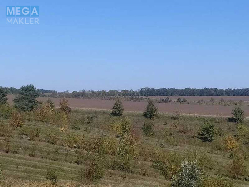 Продажа участка, 439,38 соток, земля сельскохозяйственного назначения, <a class="location-link" href="/kantelina/" title="Недвижимость Кантеліна">Кантелина</a>, Нова (изображение 2)