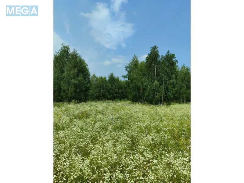 Продажа участка, 1&nbsp;446,95&nbsp;соток, земля сельскохозяйственного назначения, <a class="location-link" href="/lubyanka-selo-kv/" title="Недвижимость Луб'янка">Луб`янка</a>, Нова (изображение 18)