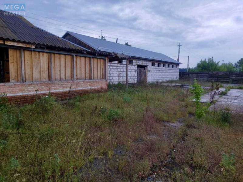 Продаж комплексу будівель та споруд, 400 кв.м, под производство, <a class="location-link" href="/zhukin/" title="Недвижимость Жукін">Жукин</a>, Шевченко, 1 (изображение 2)