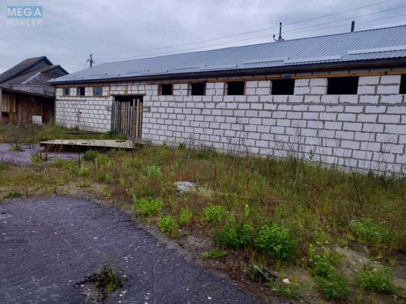 Продаж комплексу будівель та споруд, 400 кв.м, под производство, <a class="location-link" href="/zhukin/" title="Недвижимость Жукін">Жукин</a>, Шевченко, 1 (изображение 5)