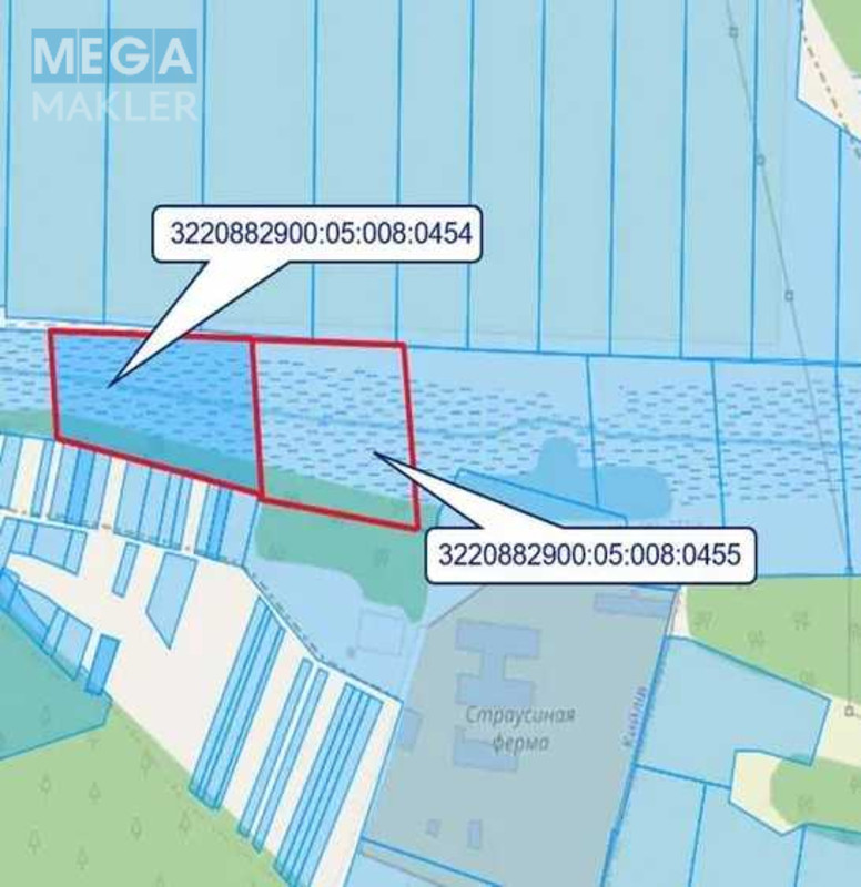 Продажа участка, 200 соток, земля сельскохозяйственного назначения, <a class="location-link" href="/golovurov/" title="Недвижимость Головурів">Головурів</a>, Головурів (изображение 10)