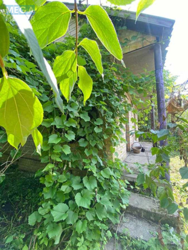 Продажа участка, 6&nbsp;соток, участок под жилую застройку, <a class="location-link" href="/blistavica/" title="Недвижимость Блиставиця">Блиставиця</a>, 10-а Садова (изображение 13)