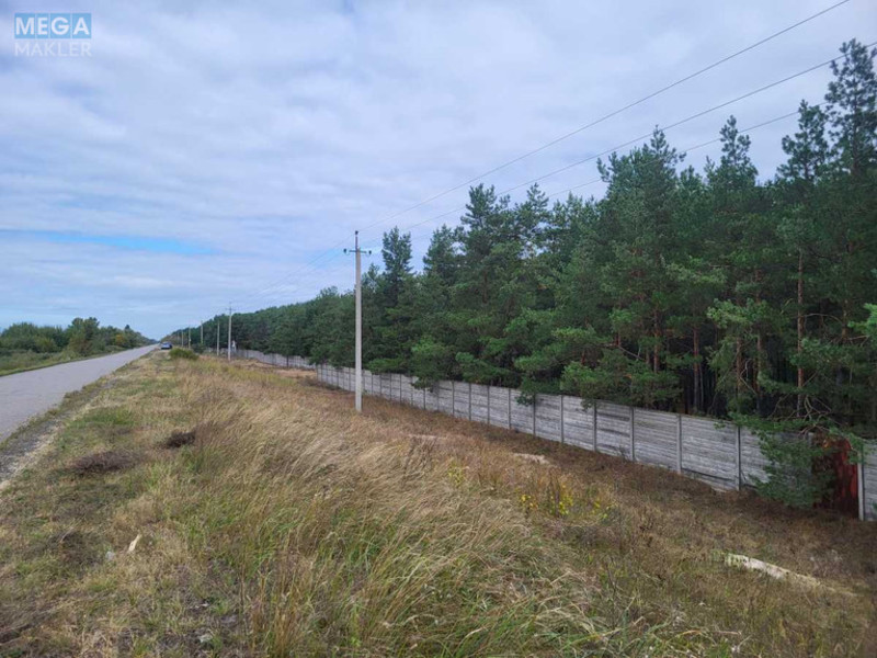 Продажа участка, 26 соток, земля сельскохозяйственного назначения, <a class="location-link" href="/voronkov/" title="Недвижимость Вороньків">Вороньків</a>, б/н (изображение 2)