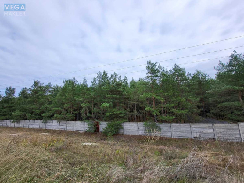 Продажа участка, 26 соток, земля сельскохозяйственного назначения, <a class="location-link" href="/voronkov/" title="Недвижимость Вороньків">Вороньків</a>, б/н (изображение 4)