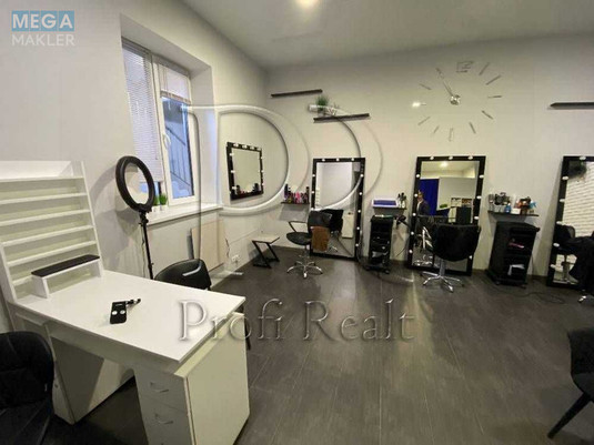 Продаж комерційної нерухомості, 50 кв.м, <a class="location-link" href="/petropavlovskaya-borshagovka/" title="Недвижимость Петропавлівська Борщагівка">Петропавлівська Борщагівка</a>, Садова вулиця, 1В (изображение 3)