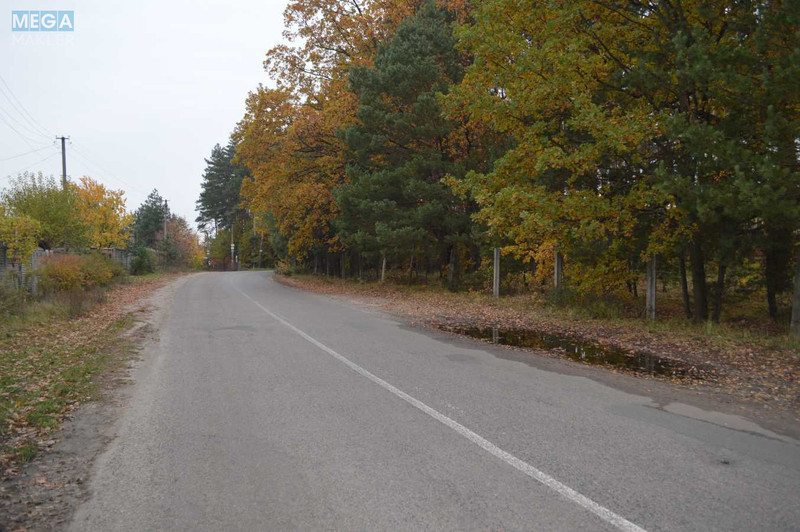 Продаж дома, 2 поверху, 250 кв.м, 5 кімнат, ділянка 9 соток, <a class="location-link" href="/nikolaevka-selo-kv-makarovskij-rajon/" title="Недвижимость Миколаївка">Миколаївка</a>, Садова, 22 (изображение 23)