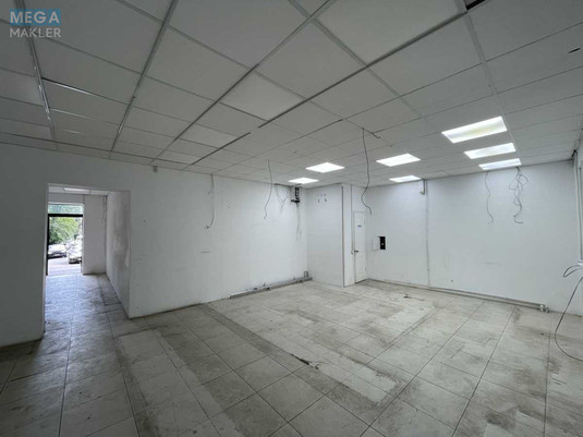 Оренда комерційної нерухомості, 61 кв.м, под магазин, <a class="location-link" href="/kiev/" title="Недвижимость Київ">Київ</a>, <a class="location-link" href="/kiev/pecherskij/" title="Недвижимость Печерський район">Печерський р-н</a>, Професора Підвисоцького вул., 5 (изображение 21)