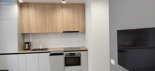 Оренда 1 кімнатної квартири, <a class="location-link" href="/kiev/" title="Недвижимость Київ">Київ</a>, <a class="location-link" href="/kiev/shevchenkovskij/" title="Недвижимость Шевченківський район">Шевченківський р-н</a>, Салютна вул., 2 (изображение 3)