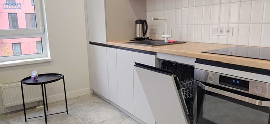 Оренда 1 кімнатної квартири, <a class="location-link" href="/kiev/" title="Недвижимость Київ">Київ</a>, <a class="location-link" href="/kiev/shevchenkovskij/" title="Недвижимость Шевченківський район">Шевченківський р-н</a>, Салютна вул., 2 (изображение 4)