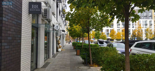 Оренда 1 кімнатної квартири, <a class="location-link" href="/kiev/" title="Недвижимость Київ">Київ</a>, <a class="location-link" href="/kiev/shevchenkovskij/" title="Недвижимость Шевченківський район">Шевченківський р-н</a>, Салютна вул., 2 (изображение 20)