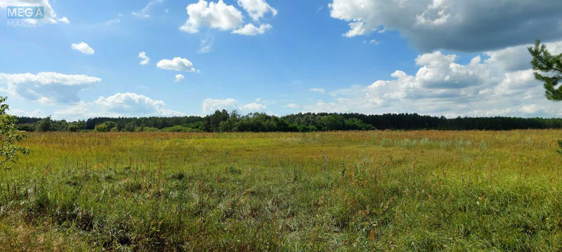 Продажа участка, 800 соток, земля сельскохозяйственного назначения, <a class="location-link" href="/oster/" title="Недвижимость Остер">Остер</a>, Одинця (изображение 3)