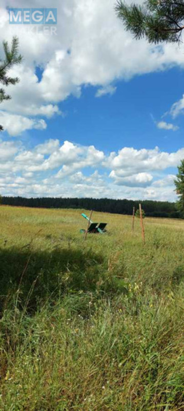 Продажа участка, 800 соток, земля сельскохозяйственного назначения, <a class="location-link" href="/oster/" title="Недвижимость Остер">Остер</a>, Одинця (изображение 7)