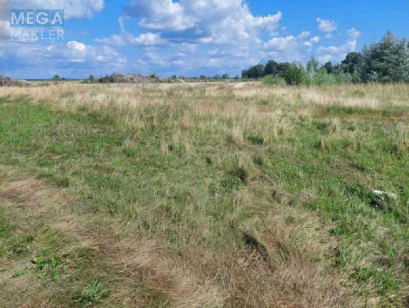 Продажа участка, 6 232 сотки, земля сельскохозяйственного назначения, <a class="location-link" href="/zazimya/" title="Недвижимость Зазим'я">Зазим`я</a>, Зазімська с/р (изображение 3)