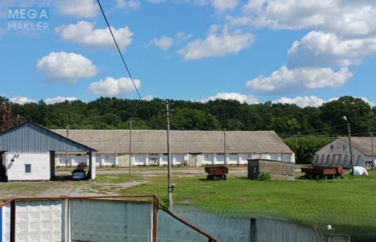 Продаж окремої будівлі/побудови, 7 090,30 кв.м, <a class="location-link" href="/zhovtnevoe-selo-kv-zgurovskij-rajon/" title="Недвижимость Жовтневе">Жовтневе</a>, Юності, 15 (изображение 5)