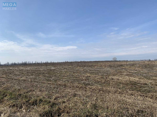 Продажа участка, 200 соток, земля сельскохозяйственного назначения, <a class="location-link" href="/glubokoe-selo-kv/" title="Недвижимость Глибоке">Глибоке</a>, Глибоцька с/р (изображение 3)