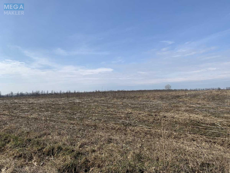 Продажа участка, 200 соток, земля сельскохозяйственного назначения, <a class="location-link" href="/glubokoe-selo-kv/" title="Недвижимость Глибоке">Глибоке</a>, Глибоцька с/р (изображение 3)