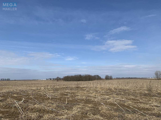 Продажа участка, 200 соток, земля сельскохозяйственного назначения, <a class="location-link" href="/glubokoe-selo-kv/" title="Недвижимость Глибоке">Глибоке</a>, Глибоцька с/р (изображение 6)