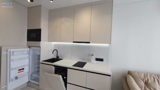 Оренда 1 кімнатної квартири, <a class="location-link" href="/kiev/" title="Недвижимость Київ">Київ</a>, <a class="location-link" href="/kiev/shevchenkovskij/" title="Недвижимость Шевченківський район">Шевченківський р-н</a>, Олени Теліги вул., 25 (изображение 4)