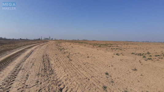 Продажа участка, 200 соток, земля сельскохозяйственного назначения, <a class="location-link" href="/voronkov/" title="Недвижимость Вороньків">Вороньків</a>, Вороньківська ТГ (изображение 3)