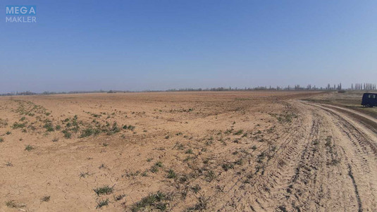 Продажа участка, 200 соток, земля сельскохозяйственного назначения, <a class="location-link" href="/voronkov/" title="Недвижимость Вороньків">Вороньків</a>, Вороньківська ТГ (изображение 4)