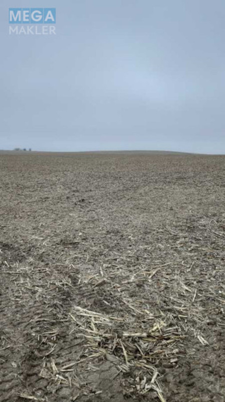 Продажа участка, 200 соток, земля сельскохозяйственного назначения, <a class="location-link" href="/voronkov/" title="Недвижимость Вороньків">Вороньків</a>, Вороньківська с/р (изображение 2)