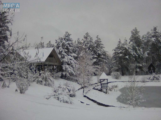 Оренда дома, <a class="location-link" href="/mircha/" title="Недвижимость Мірча">Мирча</a>, Лесная (изображение 9)