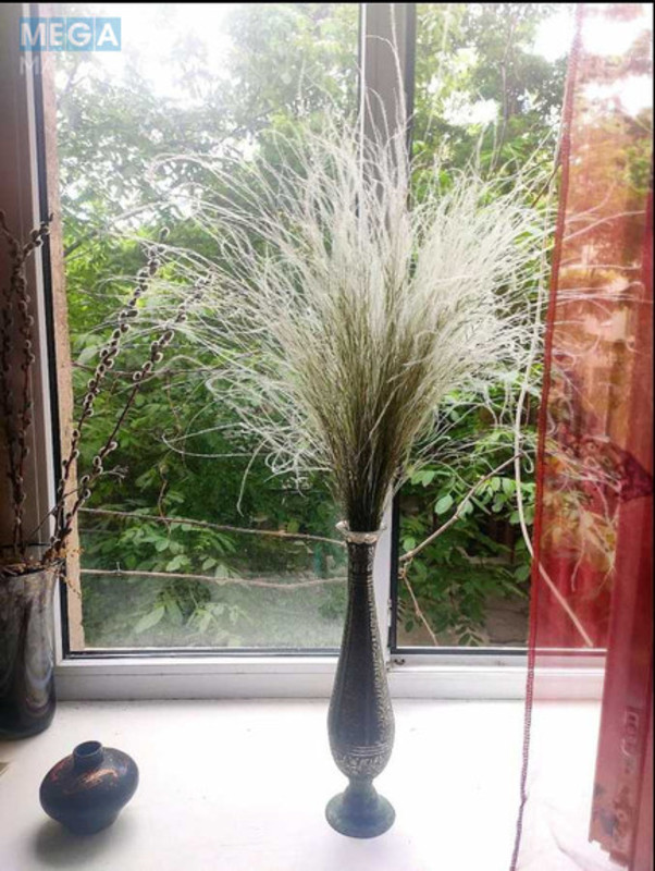 Оренда 1 кімнатної квартири, <a class="location-link" href="/odessa/" title="Недвижимость Одеса">Одеса</a>, <a class="location-link" href="/odessa/primorskij/" title="Недвижимость Приморський район">Приморський р-н</a>, Троицкая, 17 (изображение 6)