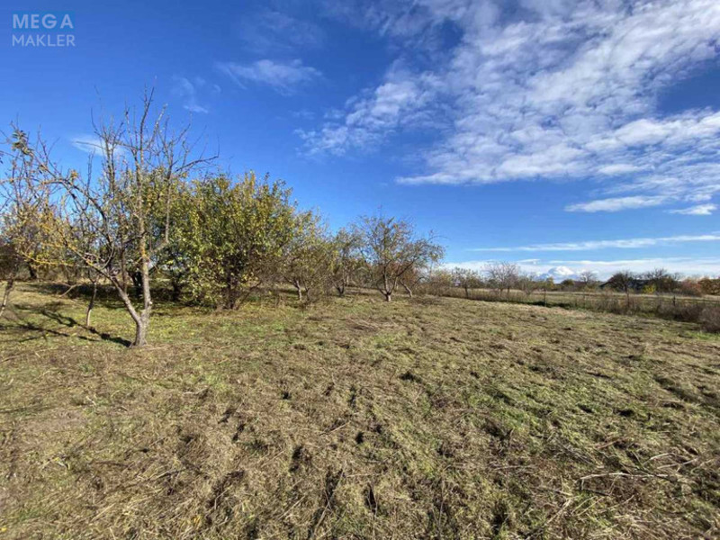 Продаж дома, 1&nbsp; поверх, 50&nbsp;кв.м, 2&nbsp;кімнати, ділянка 41&nbsp;сотка, <a class="location-link" href="/ivankov-selo-kv/" title="Недвижимость Іванків">Іванків</a>, провулок Народний (изображение 19)