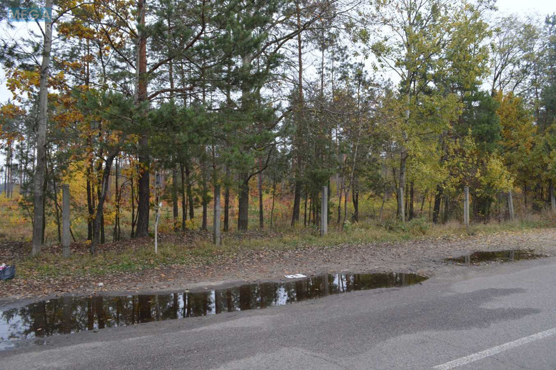 Продаж дома, 2 поверху, 250 кв.м, 5 кімнат, ділянка 9 соток, <a class="location-link" href="/nikolaevka-selo-kv-makarovskij-rajon/" title="Недвижимость Миколаївка">Миколаївка</a>, Садова, 22 (изображение 24)