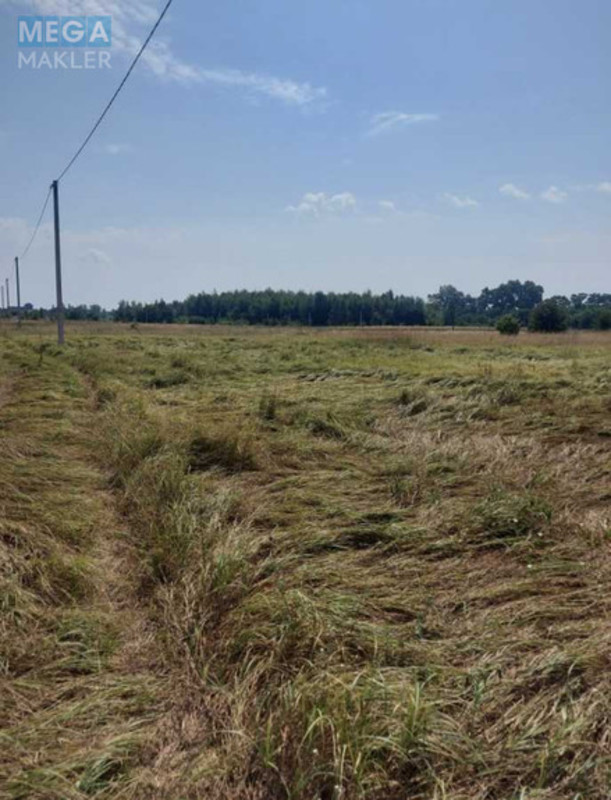 Продажа участка, 10&nbsp;соток, участок под жилую застройку, <a class="location-link" href="/yasnogorodka/" title="Недвижимость Ясногородка">Ясногородка</a>, Польова (изображение 2)