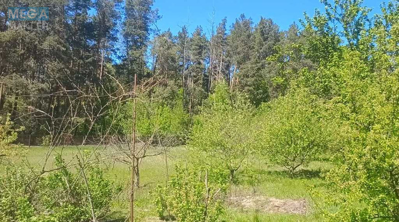 Продажа участка, 31&nbsp;сотка, участок под жилую застройку, <a class="location-link" href="/hlepcha/" title="Недвижимость Хлепча">Хлепча</a>, Касіора (изображение 5)