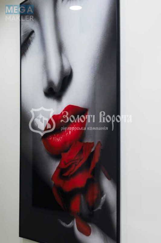 Продаж комерційної нерухомості, 100,70 кв.м, <a class="location-link" href="/dmitrovka-selo-kv-kievo-svyatoshinskij-rajon/" title="Недвижимость Дмитрівка">Дмитрівка</a>, Молодіжна вул., 12 (изображение 4)