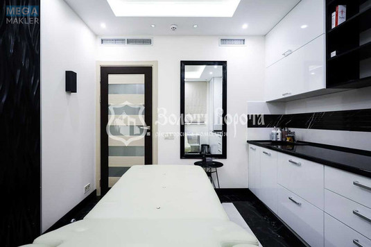 Продаж комерційної нерухомості, 100,70&nbsp;кв.м, <a class="location-link" href="/dmitrovka-selo-kv-kievo-svyatoshinskij-rajon/" title="Недвижимость Дмитрівка">Дмитрівка</a>, Молодіжна вул., 12 (изображение 19)