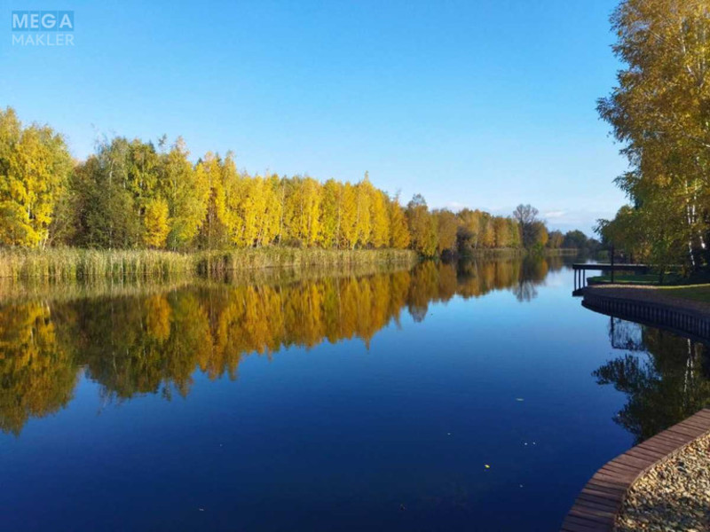 Продаж дома, 2&nbsp;поверху, 500&nbsp;кв.м, 5&nbsp;кімнат, ділянка 50&nbsp;соток, <a class="location-link" href="/kozin/" title="Недвижимость Козин">Козин</a>, Соловяненка (изображение 2)