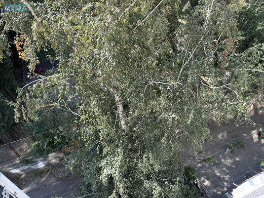 Продаж 1 кімнатної квартири (38/19/7), 6 пов. 9 пов. будинку, <a class="location-link" href="/kiev/" title="Недвижимость Київ">Київ</a>, <a class="location-link" href="/kiev/pecherskij/" title="Недвижимость Печерський район">Печерський р-н</a>, Кловський узвіз, 20 (изображение 24)