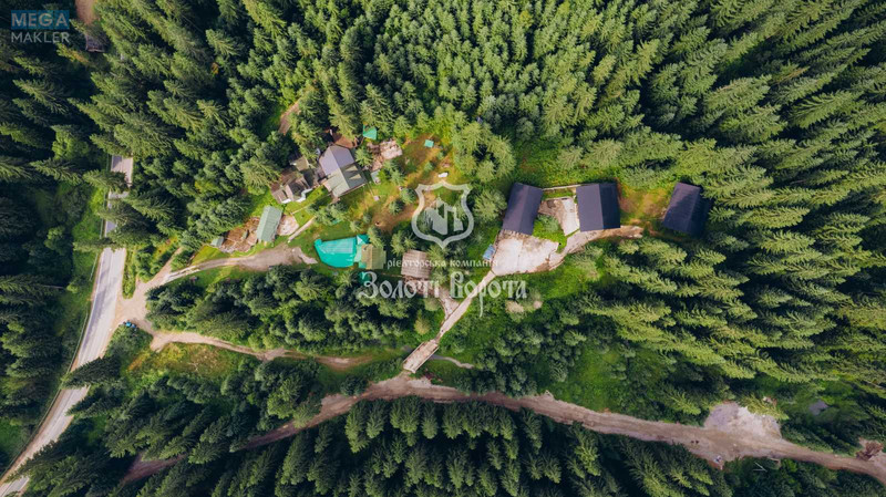 Продажа участка, 100&nbsp;соток, земля коммерческого назначения, <a class="location-link" href="/yablonica/" title="Недвижимость Яблуниця">Яблуниця</a>, Горішків (изображение 2)