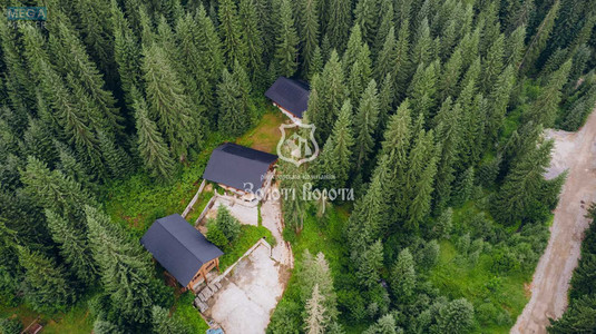 Продажа участка, 100&nbsp;соток, земля коммерческого назначения, <a class="location-link" href="/yablonica/" title="Недвижимость Яблуниця">Яблуниця</a>, Горішків (изображение 3)