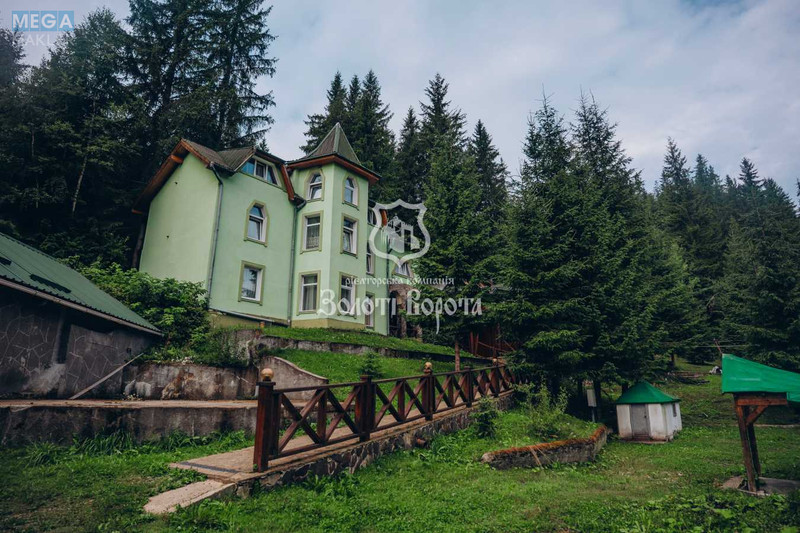 Продажа участка, 100&nbsp;соток, земля коммерческого назначения, <a class="location-link" href="/yablonica/" title="Недвижимость Яблуниця">Яблуниця</a>, Горішків (изображение 6)