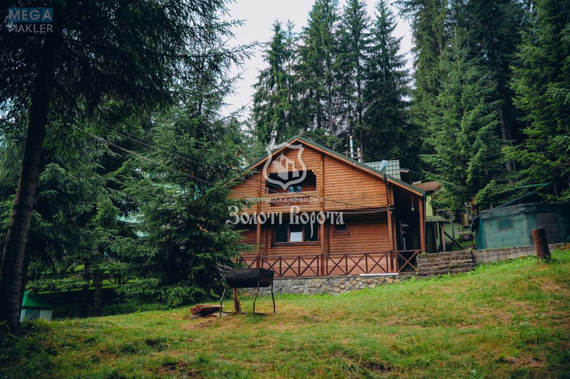 Продажа участка, 100&nbsp;соток, земля коммерческого назначения, <a class="location-link" href="/yablonica/" title="Недвижимость Яблуниця">Яблуниця</a>, Горішків (изображение 7)