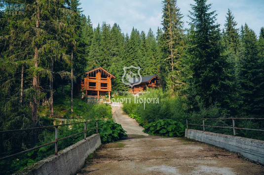 Продажа участка, 100&nbsp;соток, земля коммерческого назначения, <a class="location-link" href="/yablonica/" title="Недвижимость Яблуниця">Яблуниця</a>, Горішків (изображение 16)