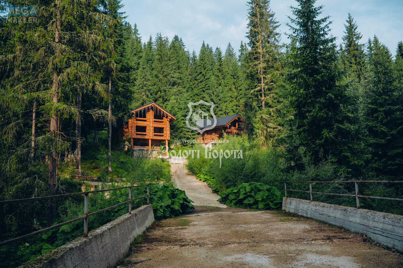 Продажа участка, 100&nbsp;соток, земля коммерческого назначения, <a class="location-link" href="/yablonica/" title="Недвижимость Яблуниця">Яблуниця</a>, Горішків (изображение 16)