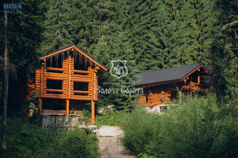 Продажа участка, 100&nbsp;соток, земля коммерческого назначения, <a class="location-link" href="/yablonica/" title="Недвижимость Яблуниця">Яблуниця</a>, Горішків (изображение 17)