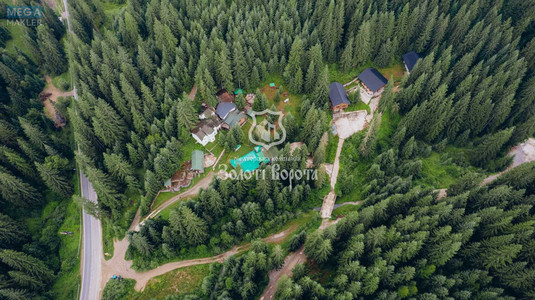 Продажа участка, 100&nbsp;соток, земля коммерческого назначения, <a class="location-link" href="/yablonica/" title="Недвижимость Яблуниця">Яблуниця</a>, Горішків (изображение 21)