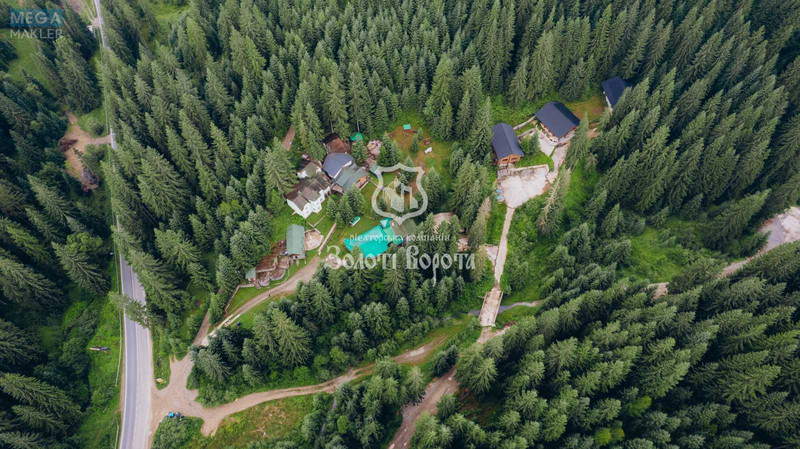 Продажа участка, 100&nbsp;соток, земля коммерческого назначения, <a class="location-link" href="/yablonica/" title="Недвижимость Яблуниця">Яблуниця</a>, Горішків (изображение 21)