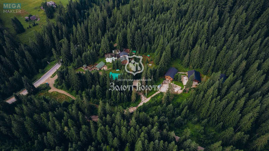 Продажа участка, 100&nbsp;соток, земля коммерческого назначения, <a class="location-link" href="/yablonica/" title="Недвижимость Яблуниця">Яблуниця</a>, Горішків (изображение 22)