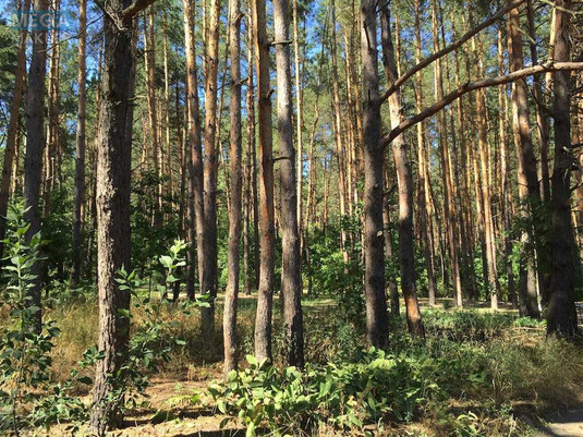 Продаж дома, 2&nbsp;поверху, 160&nbsp;кв.м, 5&nbsp;кімнат, ділянка 21&nbsp;сотка, <a class="location-link" href="/kruglik-selo-kv/" title="Недвижимость Круглик">Круглик</a>, <a class="location-link" href="/kruglik-selo-kv/malinovskij/" title="Недвижимость Малиновский район">Малиновский р-н</a>, Лисова, 7 (изображение 10)