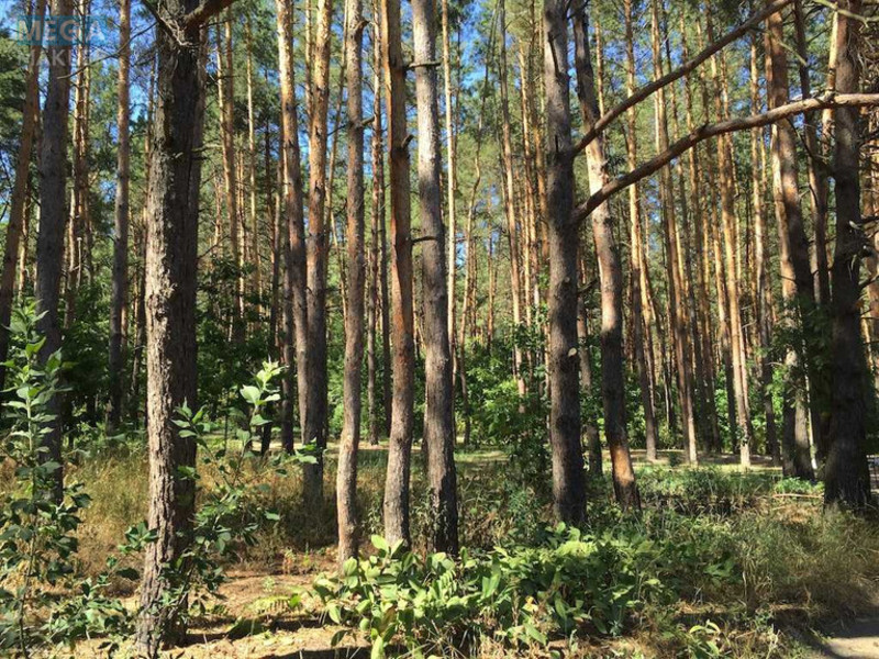 Продаж дома, 2&nbsp;поверху, 160&nbsp;кв.м, 5&nbsp;кімнат, ділянка 21&nbsp;сотка, <a class="location-link" href="/kruglik-selo-kv/" title="Недвижимость Круглик">Круглик</a>, Лисова, 7 (изображение 10)