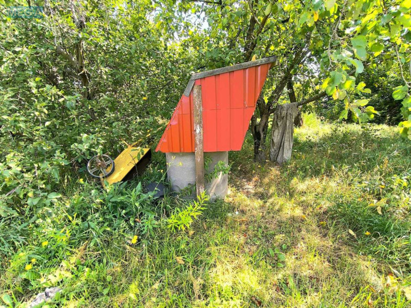 Продаж дома, 1&nbsp; поверх, 80&nbsp;кв.м, 3&nbsp;кімнати, ділянка 25&nbsp;соток, <a class="location-link" href="/nebelica/" title="Недвижимость Небілиця">Небелиця</a>, миру (изображение 20)